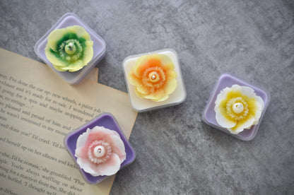 KCCA Candle Artist Certificate Course (2.0)